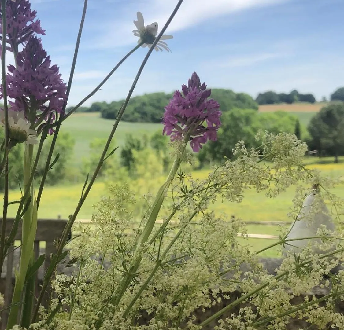 Vakantiehuis Le Buscagneau Villa Béraut Frankrijk