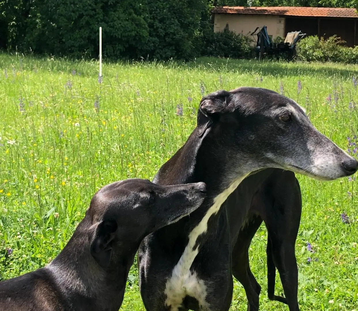 Holiday home Le Buscagneau Villa Beraut