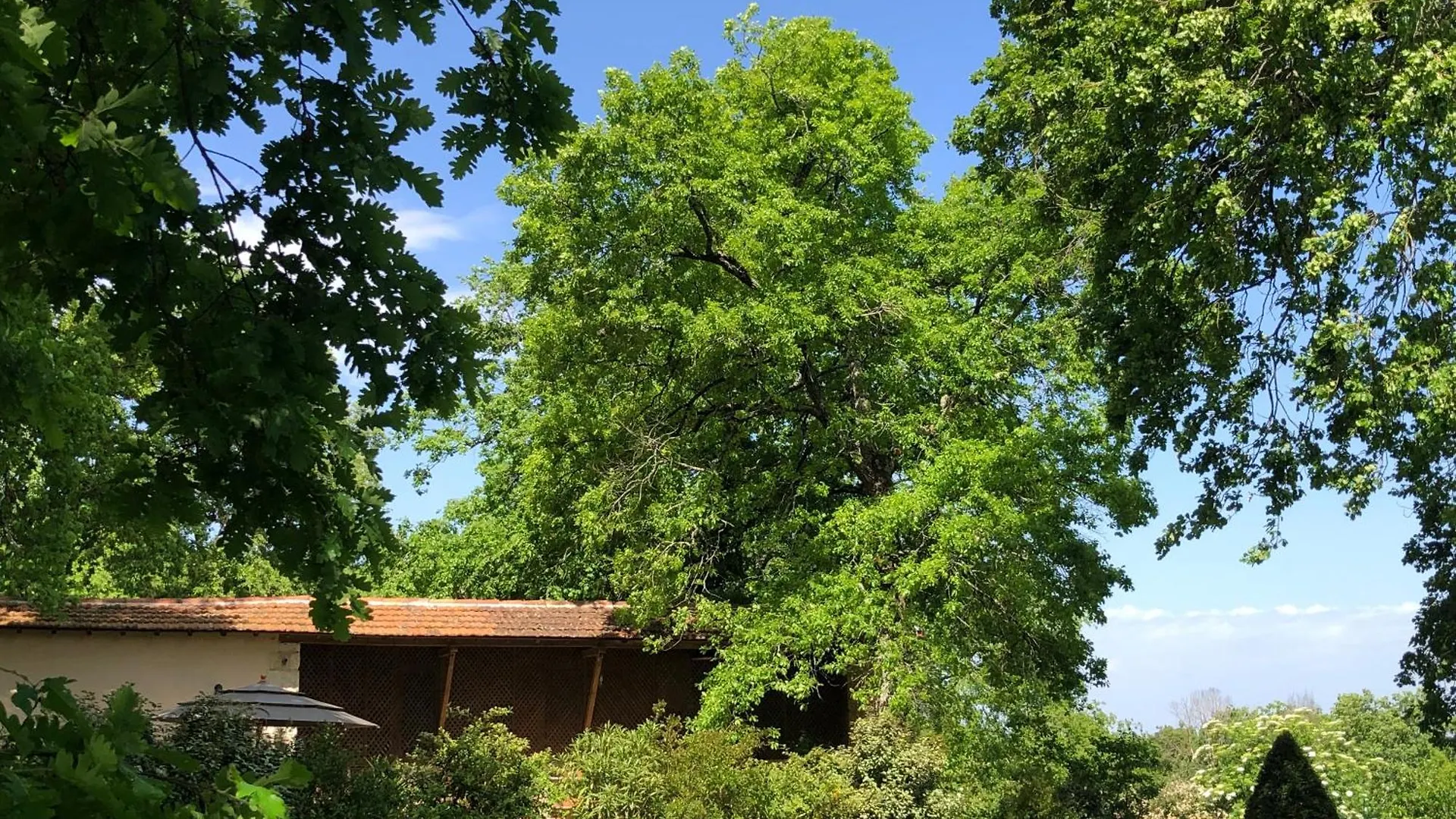 Le Buscagneau Villa Beraut 0*,  France